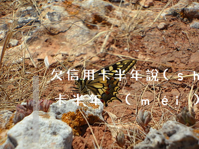欠信用卡半年說(shuō)立案了(欠信用卡半年沒(méi)還被起訴了怎么辦?)