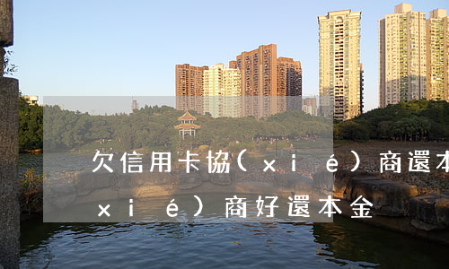 欠信用卡協(xié)商還本金（信用卡協(xié)商好還本金）