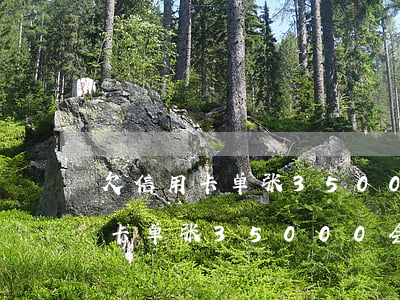 欠信用卡单张35000会判刑吗-欠信用卡单张35000会判刑吗多少钱