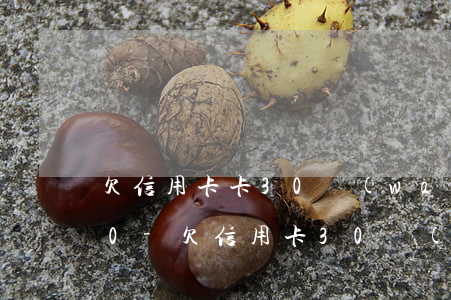 欠信用卡卡30萬(wàn)每月還1000-欠信用卡30萬(wàn)每月還100會(huì)被起訴嗎