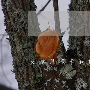 欠信用卡卡到期