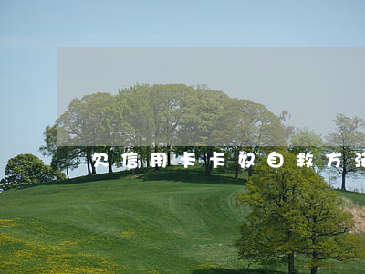 欠信用卡卡奴自救方法(欠信用卡怎么处理)