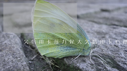 欠信用卡 压力好大(欠信用卡心理压力大)