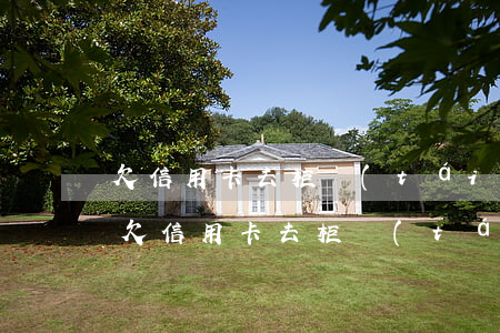 欠信用卡去柜臺(tái)協(xié)商(欠信用卡去柜臺(tái)協(xié)商)