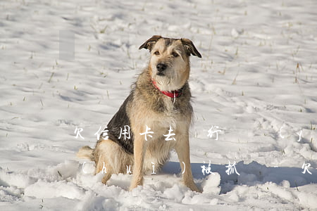 欠信用卡去銀行辦業(yè)務(wù)會(huì)被抓嗎-欠信用卡去銀行辦業(yè)務(wù)會(huì)被抓嗎知乎