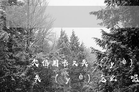 欠信用卡又失業(yè)怎么辦(欠信用卡又失業(yè)怎么辦呢)