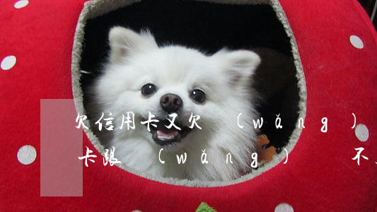 欠信用卡又欠網(wǎng)貸咋辦(欠信用卡跟網(wǎng)貸還不起結(jié)局)