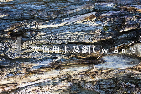 欠信用卡及網(wǎng)貸怎么辦