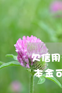 欠信用卡只能還本金嗎-欠銀行信用卡只還本金可以嗎