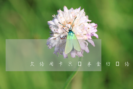 欠信用卡只還本金行嗎（信用卞只還本金）