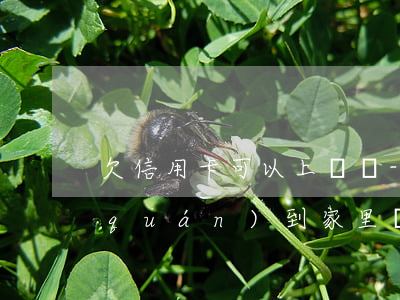 欠信用卡可以上門嗎-欠信用卡他們有權(quán)到家里調(diào)查嗎