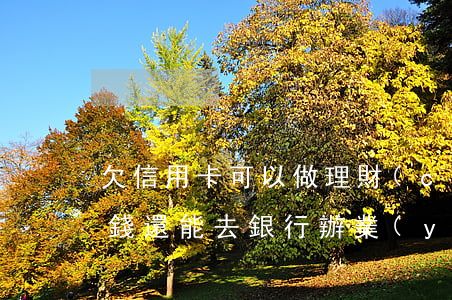 欠信用卡可以做理財(cái)嗎 欠信用卡錢還能去銀行辦業(yè)務(wù)