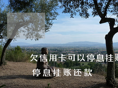 欠信用卡可以停息挂账吗（信用卡逾期了怎么停息挂账还款）