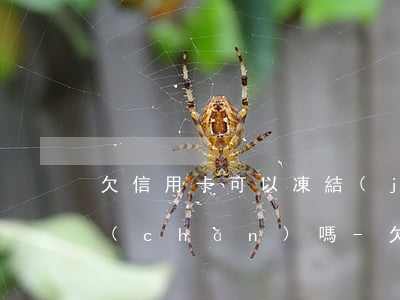 欠信用卡可以凍結(jié)我的所有資產(chǎn)嗎-欠信用卡可以凍結(jié)我的所有資產(chǎn)嗎?