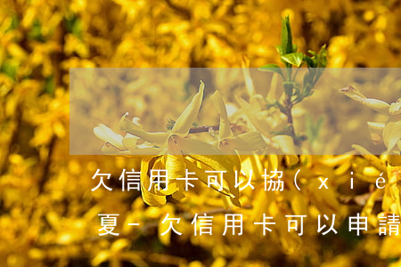 欠信用卡可以協(xié)商停息掛賬嗎華夏-欠信用卡可以申請停息掛賬嗎