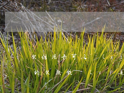 欠信用卡可以協(xié)商還款嗎（信用卡的欠款能協(xié)商嗎）