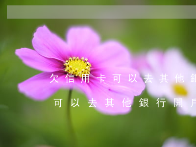 欠信用卡可以去其他銀行開戶嗎-欠信用卡可以去其他銀行開戶嗎安全嗎