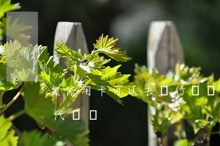 欠信用卡可以去銀行還嗎（信用卡欠能讓銀行代還嗎）