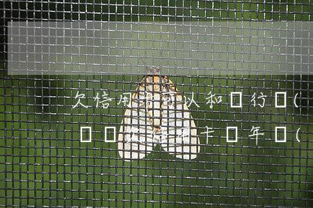 欠信用卡可以和銀行協(xié)商兩年后還嗎（欠信用卡兩年協(xié)商還款）