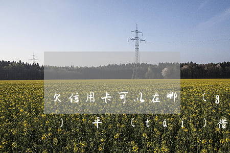 欠信用卡可以在哪個(gè)網(wǎng)貸平臺(tái)借錢(欠信用卡還可以借錢的平臺(tái))