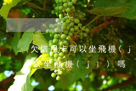 欠信用卡可以坐飛機(jī)嗎(欠信用卡可以坐飛機(jī)嗎?)