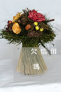 欠信用卡可以坐飛機不(欠信用卡錢能坐飛機嗎?)