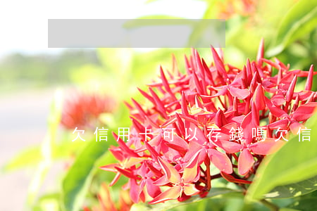 欠信用卡可以存錢嗎(欠信用卡可以存錢嗎)