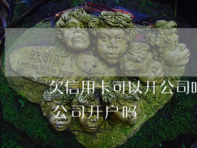 欠信用卡可以开公司吗-欠银行信用卡还能公司开户吗