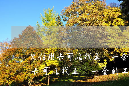 欠信用卡可以找五險一金的工作嗎-欠信用卡可以找五險一金的工作嗎安全嗎