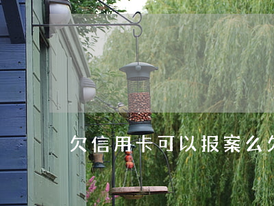 欠信用卡可以报案么(欠信用卡会立案吗)