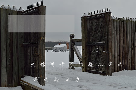 欠信用卡可以拖几年吗-欠信用卡可以拖几年吗怎么办
