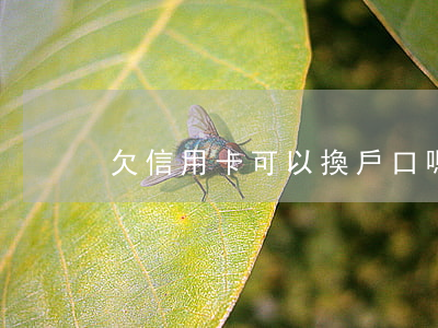 欠信用卡可以換戶口嗎(欠信用卡能改名嗎)