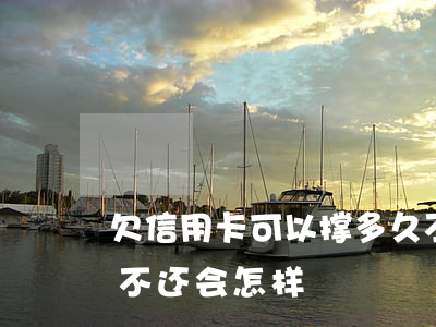 欠信用卡可以撑多久不还(如果欠信用卡一直不还会怎样)