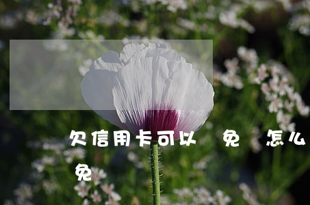 欠信用卡可以減免嗎怎么辦（欠信用卡可以減免嗎）