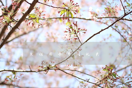 欠信用卡可以玩失蹤嗎
