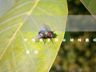 欠信用卡可以玩抖音吗-欠信用卡可以玩抖音吗