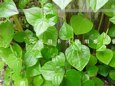 欠信用卡可以用唯品會的錢還嗎-
