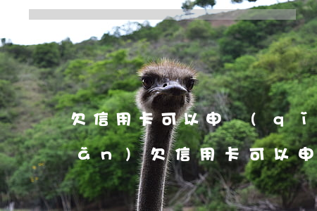 欠信用卡可以申請(qǐng)破產(chǎn)(欠信用卡可以申請(qǐng)破產(chǎn)清算嗎)