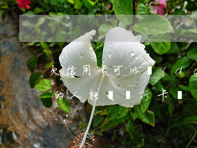 欠信用卡可以當(dāng)兵嗎(欠信用卡的人能辦銀行卡嗎)