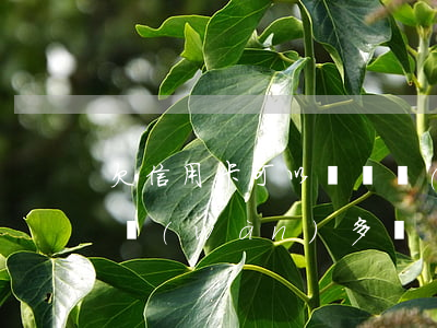 欠信用卡可以貸幾萬(wàn)(欠信用卡2萬(wàn)多嗎)