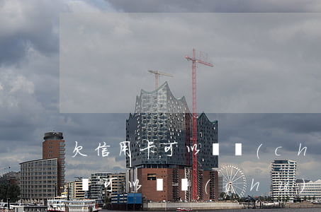 欠信用卡可以辦儲(chǔ)蓄卡(欠信用卡錢可以辦儲(chǔ)蓄卡嗎)