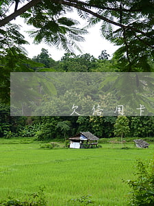欠信用卡可以辦卡嗎 欠信用卡可以辦卡嗎?