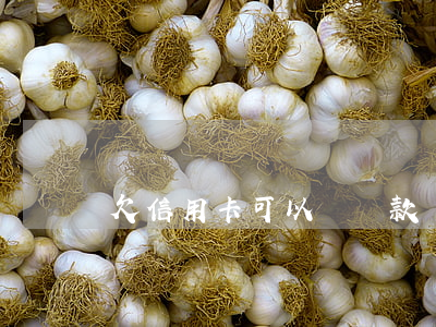 欠信用卡可以辦貸款嗎(欠信用卡可以辦貸款嗎)