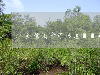 欠信用卡可以追債嗎(欠信用卡可以貸款嗎)