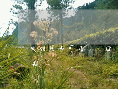 欠信用卡可以遷戶口嗎（戶口遷走了信用卡逾期）