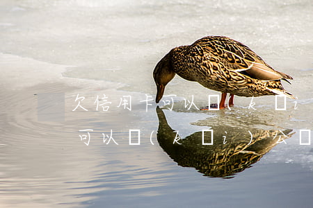 欠信用卡可以開(kāi)公司嗎（欠信用卡可以開(kāi)公戶(hù)嗎）