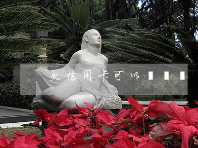 欠信用卡可以體檢嗎