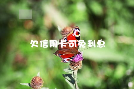 欠信用卡可免利息嗎