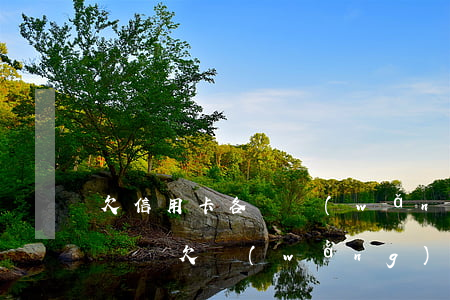 欠信用卡各種網(wǎng)貸可以耍賴不還嗎(欠網(wǎng)貸可以申請(qǐng)信用卡嗎)