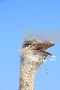 欠信用卡名單網(wǎng)怎樣查
